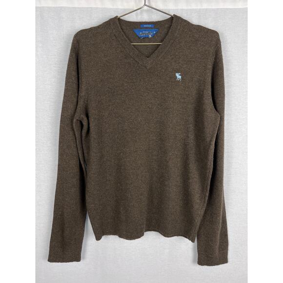 VTG Abercrombie & Fitch Sweater Men Muscle Brown V-Neck Pullover Preppy Academia - Picture 1 of 5